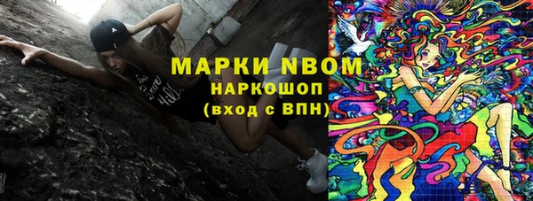 тгк Сатка