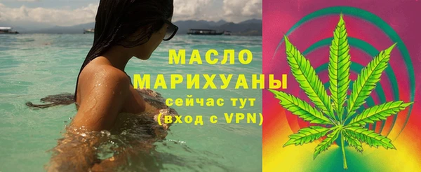 тгк Сатка