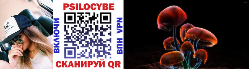 Псилоцибиновые грибы прущие грибы  Гагарин 