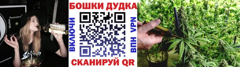Бошки Шишки планчик Гагарин